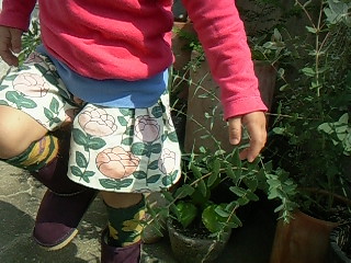 f0142668_8133481.jpg
