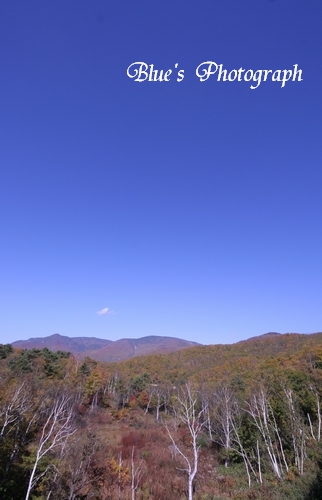 d0132769_22121940.jpg