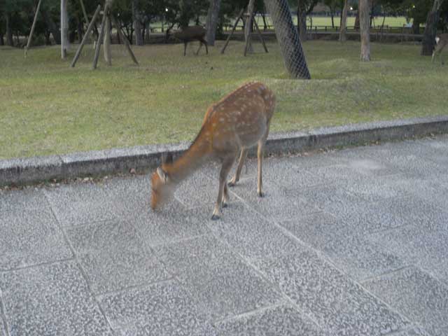 2009.10.14_c0197974_1129658.jpg