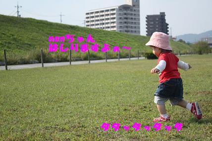c0174077_2334296.jpg