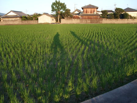 影で遊ぶ。_e0138081_1716510.jpg