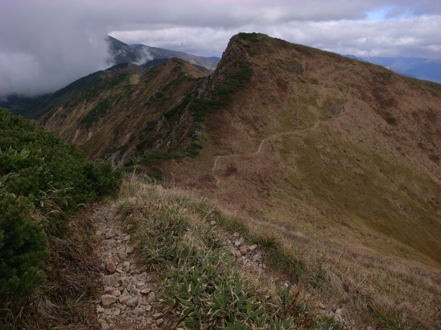 e0129083_1954341.jpg