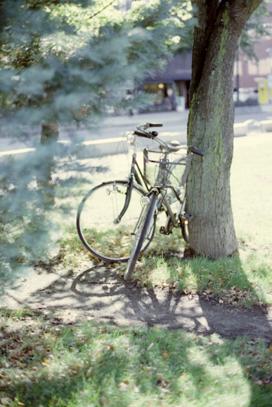 自転車_c0160185_19542782.jpg