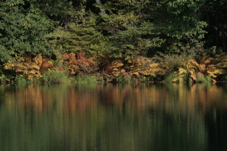d0133693_20121569.jpg