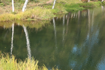 d0133693_2074367.jpg