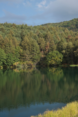 d0133693_2082743.jpg