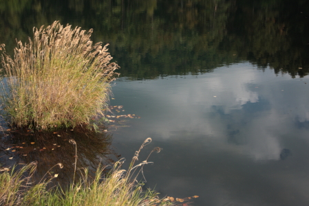d0133693_2093321.jpg