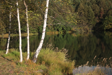 d0133693_2094410.jpg