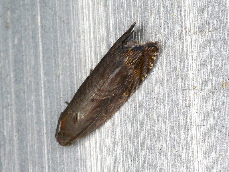 f0204094_0302419.jpg