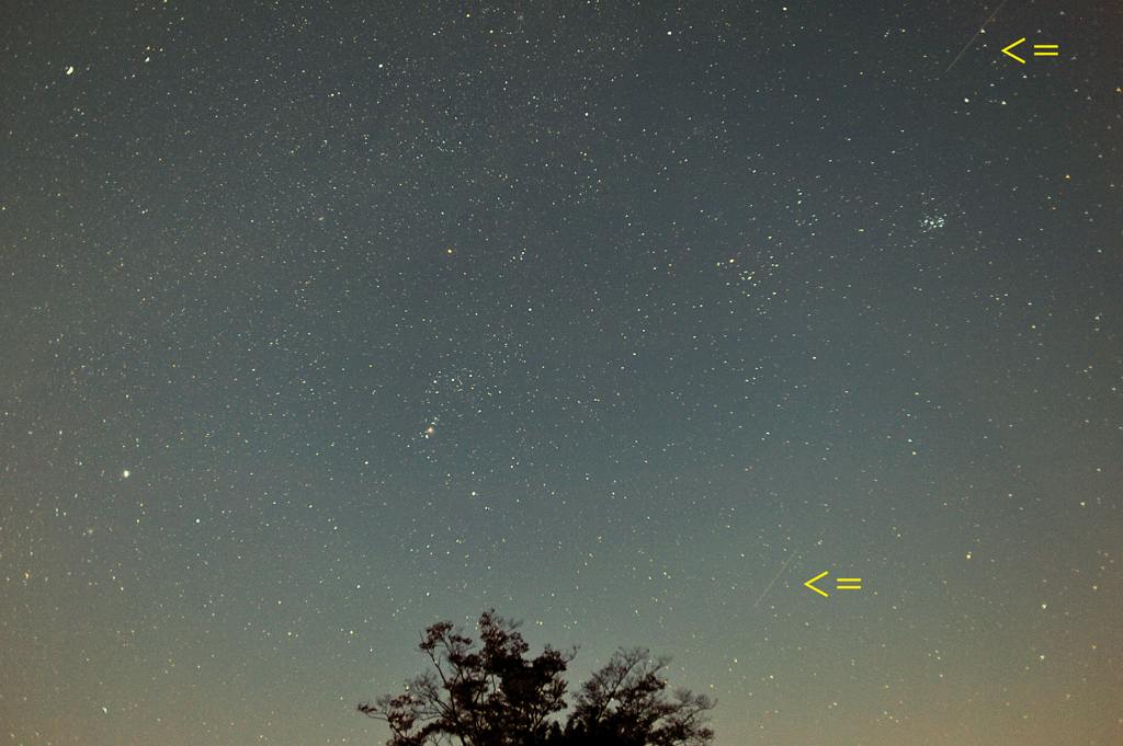 b0024798_64472.jpg