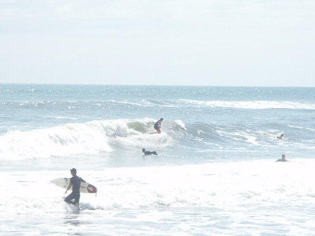 b0078598_212476.jpg