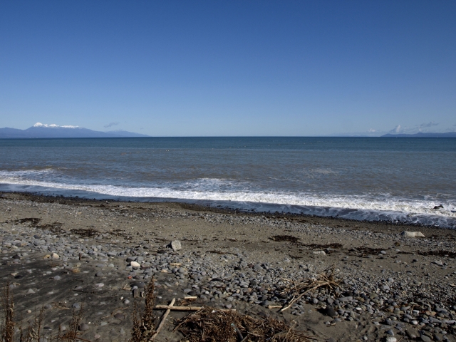 f0020302_20551314.jpg