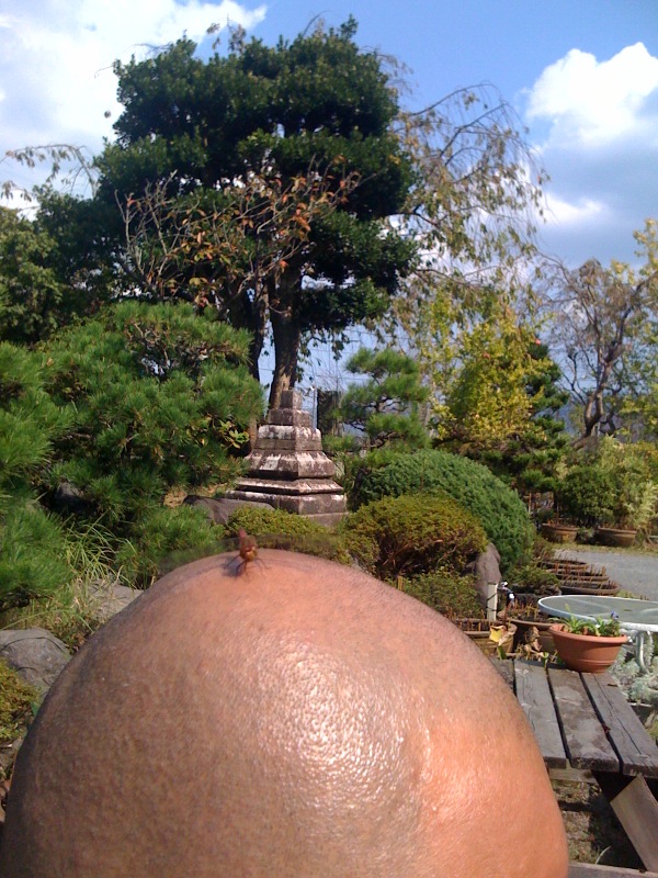 b0188106_13145.jpg