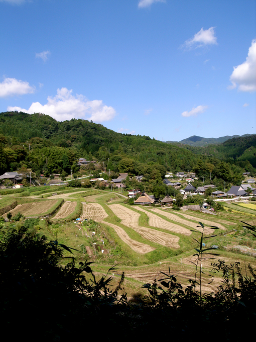 c0188008_7463640.jpg
