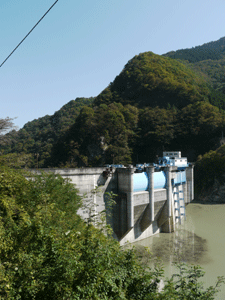 b0132710_12153167.gif