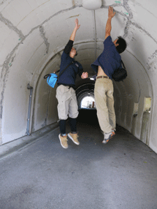 b0132710_12181910.gif