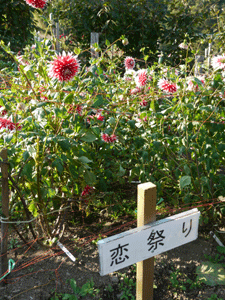 b0132710_12452100.gif