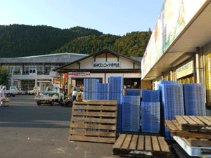 b0132710_131241.gif