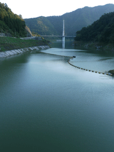 b0132710_1373780.gif
