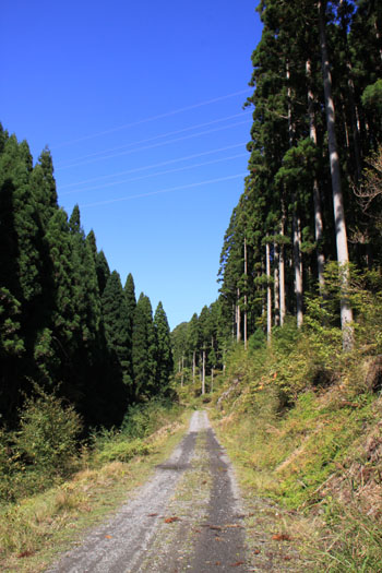 雲が畑　祖父谷_e0048413_22201963.jpg