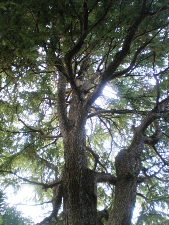 e0117613_1621039.jpg