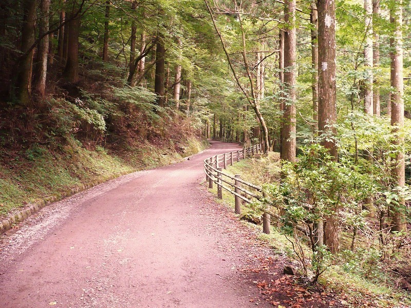 f0182513_2353820.jpg