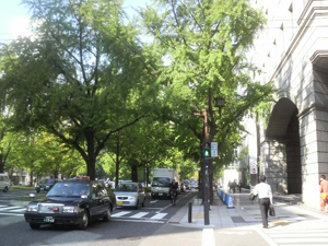 b0159315_23173254.jpg