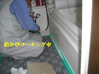 浴室床工事と、障子貼り_f0031037_2044634.jpg