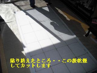 浴室床工事と、障子貼り_f0031037_20512712.jpg