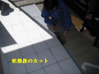 浴室床工事と、障子貼り_f0031037_20514759.jpg