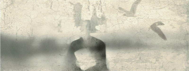 SHINOBAZU GALLERY …EDITION