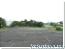 c0210846_17441561.gif