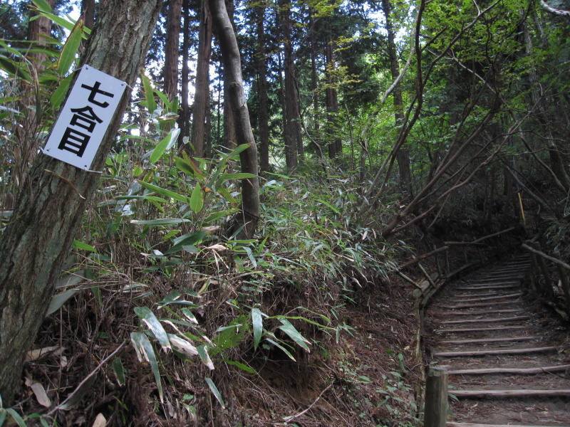 金剛登山 / カラダリニューアル２００９_d0110849_23102629.jpg