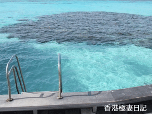 f0190653_1026185.gif