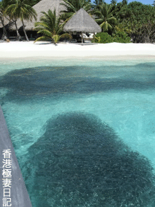 f0190653_10272547.gif
