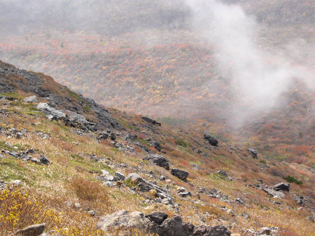 d0116059_14541716.jpg