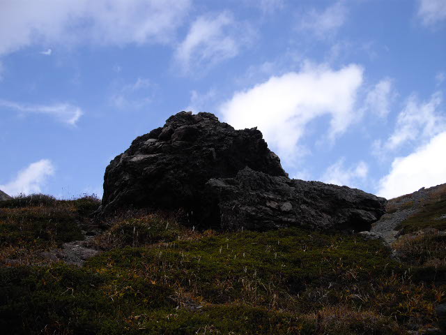 d0116059_14585799.jpg
