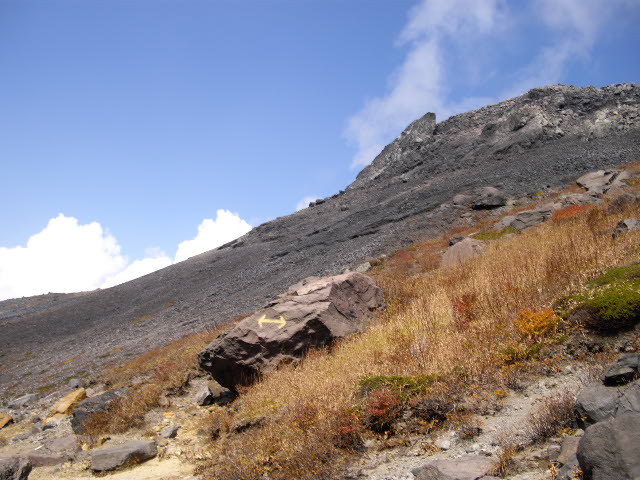 d0116059_1523558.jpg