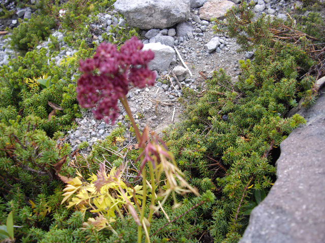 d0116059_1561472.jpg
