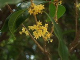 c0047860_18514930.jpg