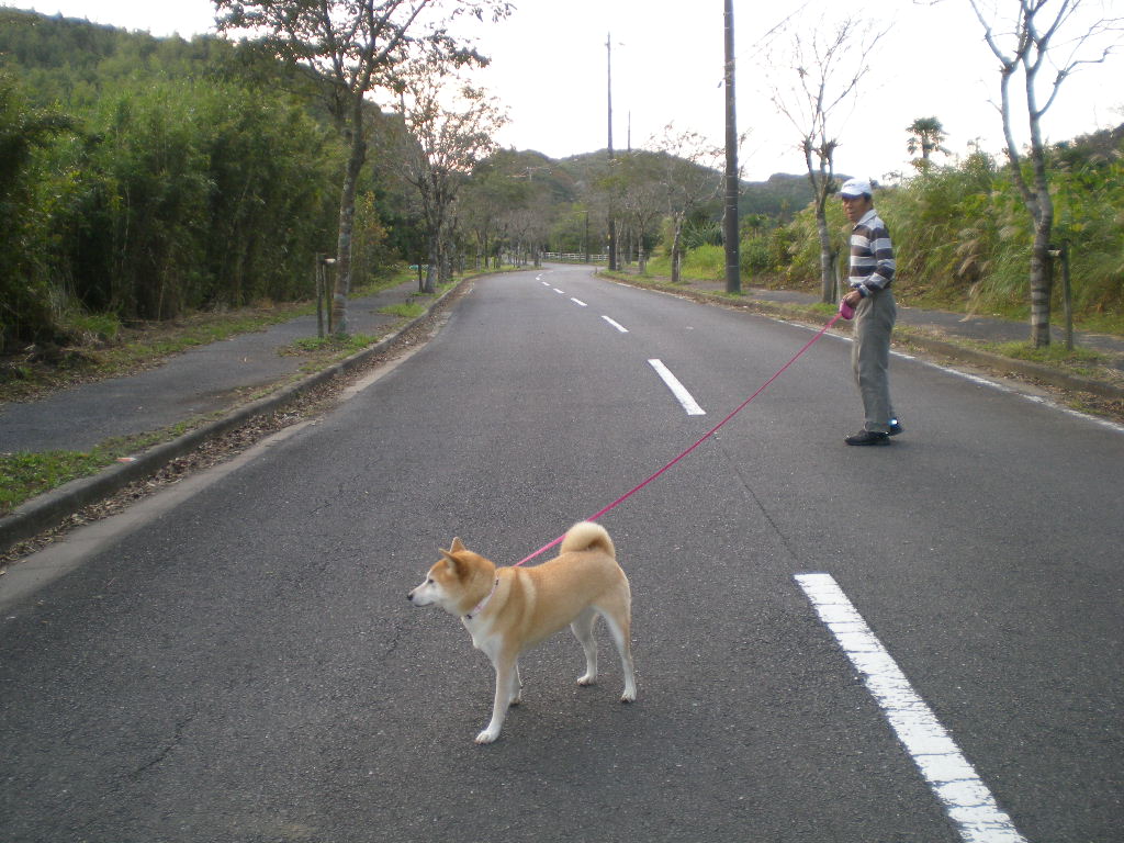 ２００９年１０月１６日（金）秋の里山は好きですか？_f0060461_19355895.jpg