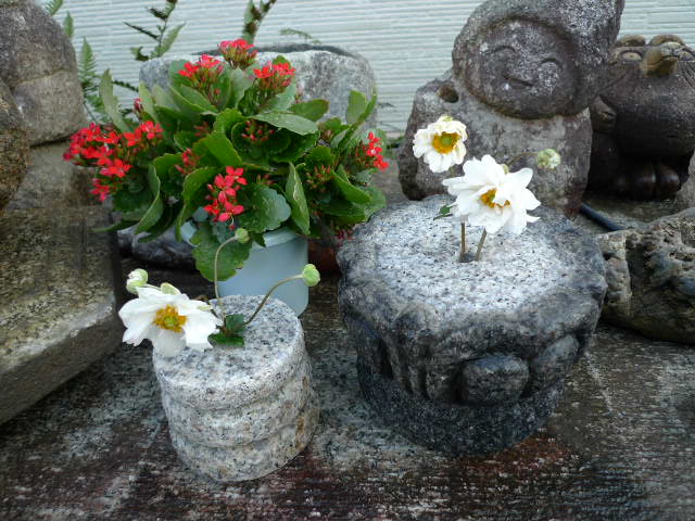 f0142070_20165510.jpg