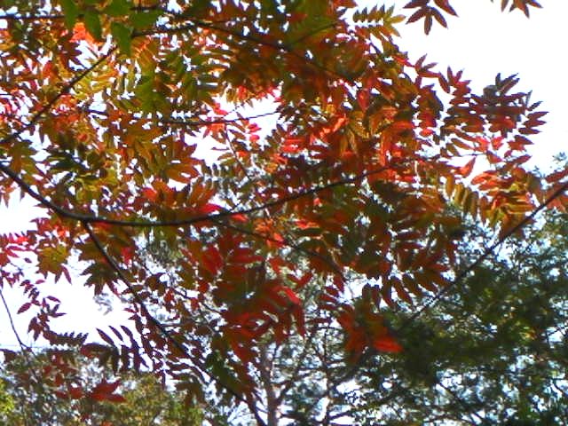 a0048975_18395274.jpg