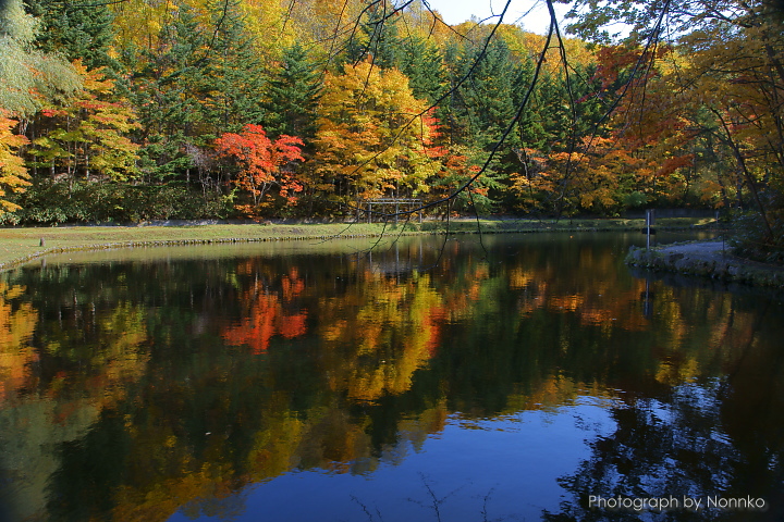 秋　真っ盛り♪　―紅桜公園―_c0106977_20802.jpg