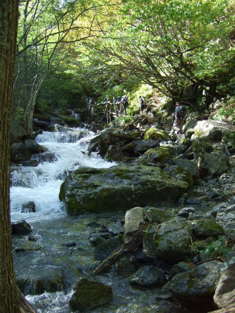 a0094280_93412.jpg