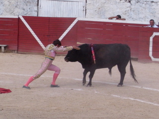 a0137192_0255257.jpg