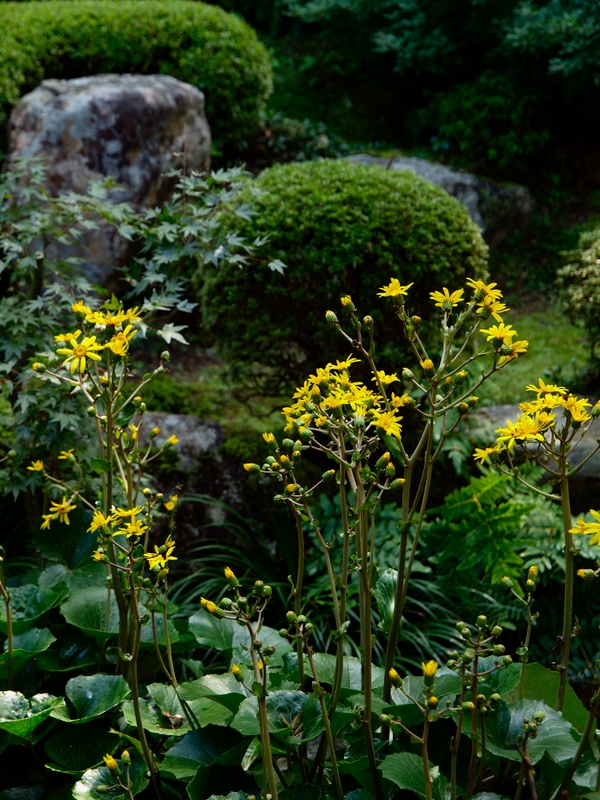 b0138101_18374672.jpg