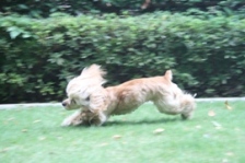c0128303_23454640.jpg