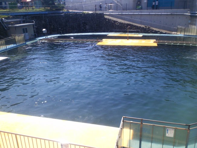 北陸旅行の思い出 越前松島水族館1_d0077106_6215583.jpg