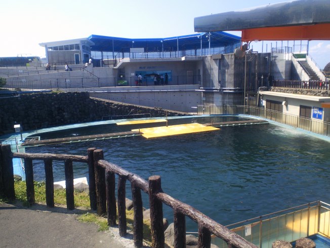 北陸旅行の思い出 越前松島水族館1_d0077106_628132.jpg